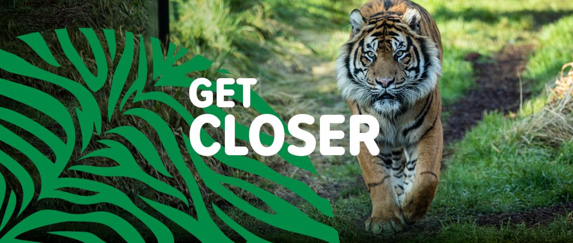 Zoological Society of London - London Zoo