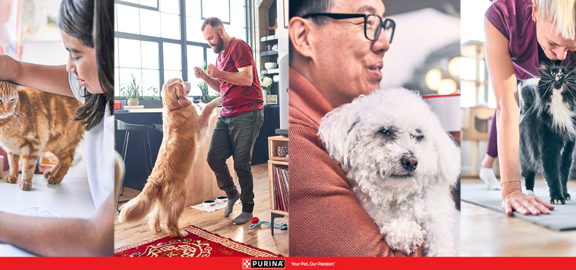 Purina UK